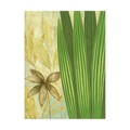 Trademark Fine Art Pablo Esteban 'Tall Narrow Palm' Canvas Art, 18x24 ALI45165-C1824GG